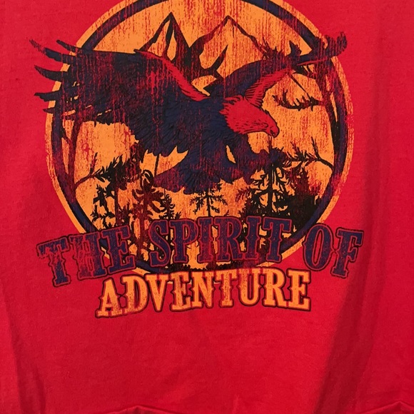 Lace Bell sleeve top - Picture 2 of 5